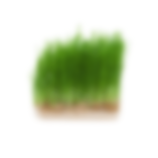 product-04